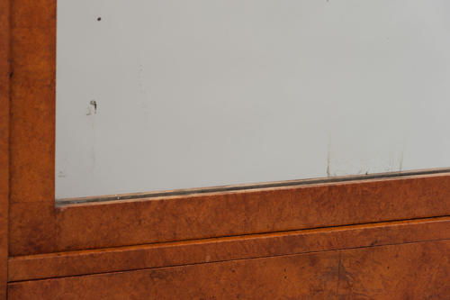 C19th North European amboyna bookcase