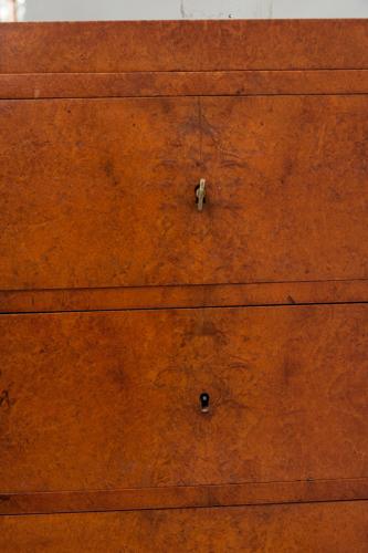 C19th North European amboyna bookcase