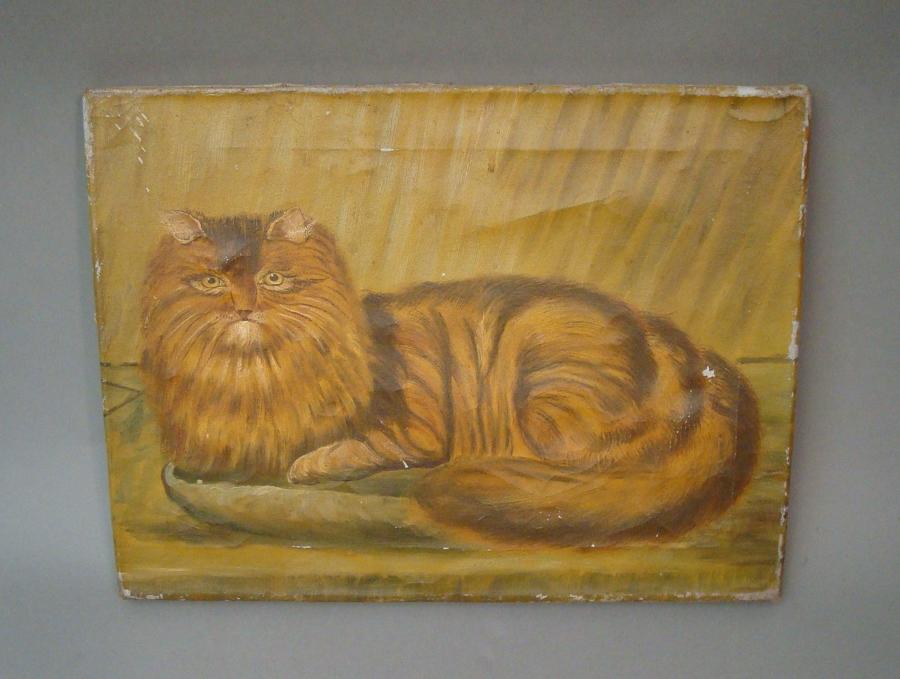 C19th primitive oil on canvas of cat