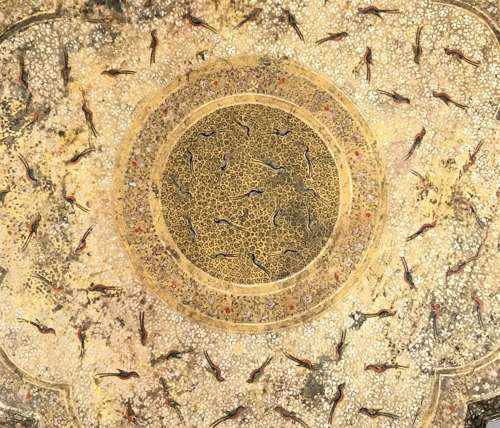 Late C19th Kashmir table with fine detailed paintwork